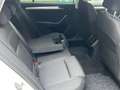 Skoda Superb 2.0TDI Ambition DSG Navi ACC SHZ PDC Wit - thumbnail 33