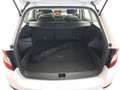 Skoda Fabia Combi 1.0 TSI Ambition AHK LED Navi LM Weiß - thumbnail 14