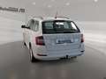 Skoda Fabia Combi 1.0 TSI Ambition AHK LED Navi LM Weiß - thumbnail 2