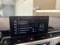 Audi A4 40 TDI SPORT QUATTRO DAYTONA MATRIX AHK AMB+ Grau - thumbnail 35