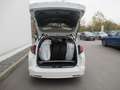 Honda Civic Tourer 1.8 i-VTEC Executive Blanc - thumbnail 15
