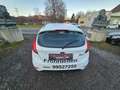 Ford Fiesta Fiesta Trend 1,25 Trend Weiß - thumbnail 5