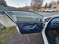 Ford Fiesta Fiesta Trend 1,25 Trend Weiß - thumbnail 11