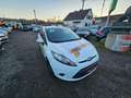 Ford Fiesta Fiesta Trend 1,25 Trend Weiß - thumbnail 3