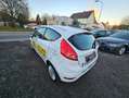 Ford Fiesta Fiesta Trend 1,25 Trend Weiß - thumbnail 6