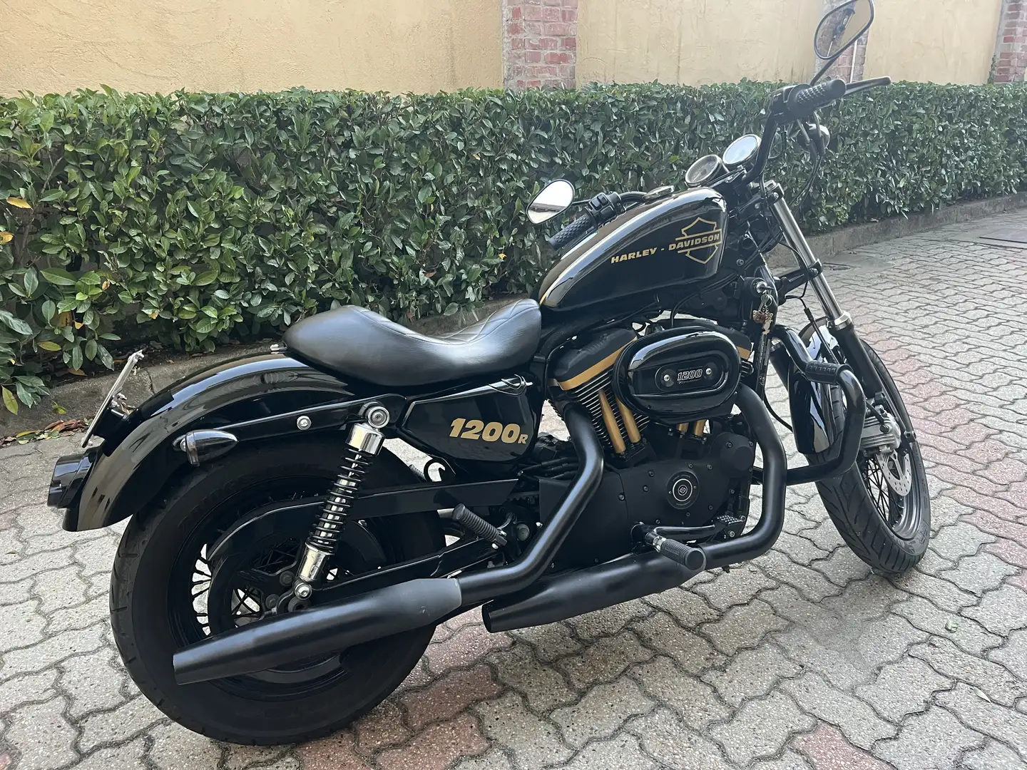 Harley-Davidson Roadster nero oro - 2