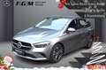 Mercedes-Benz B 250 4M Progressive Sitzhz|EASY-PACK|Kam|LED Grau - thumbnail 1