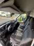 Ford Transit Transit 350 L3H2 Lkw HA Trend Wit - thumbnail 5