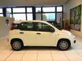 Fiat Panda Panda 1.0 Hybrid Pop PROMO MESE + TARGA Blanc - thumbnail 12