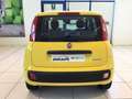 Fiat Panda Panda 1.0 Hybrid Pop PROMO MESE + TARGA Blanc - thumbnail 21