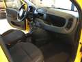 Fiat Panda Panda 1.0 Hybrid Pop PROMO MESE + TARGA Blanc - thumbnail 25