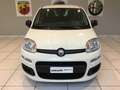 Fiat Panda Panda 1.0 Hybrid Pop PROMO MESE + TARGA Blanc - thumbnail 8