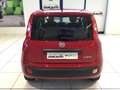 Fiat Panda Panda 1.0 Hybrid Pop PROMO MESE + TARGA Blanc - thumbnail 20