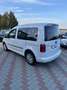 Volkswagen Caddy AUTOCARRO 5 POSTI - thumbnail 5