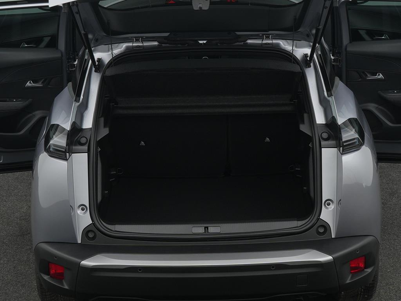 Peugeot 2008 BUSINESS Benzin 100 — photo 7