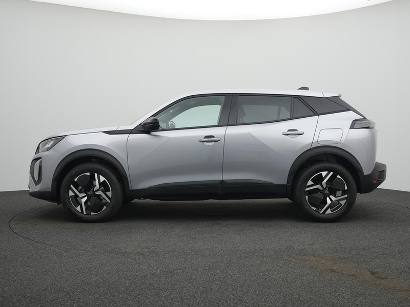 Peugeot 2008 BUSINESS Benzin 100 — photo 6