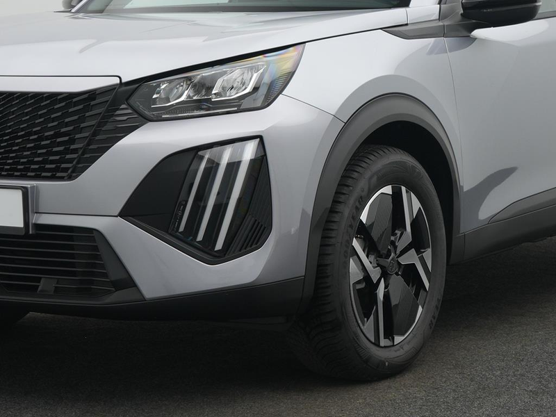 Peugeot 2008 BUSINESS Benzin 100 — photo 9