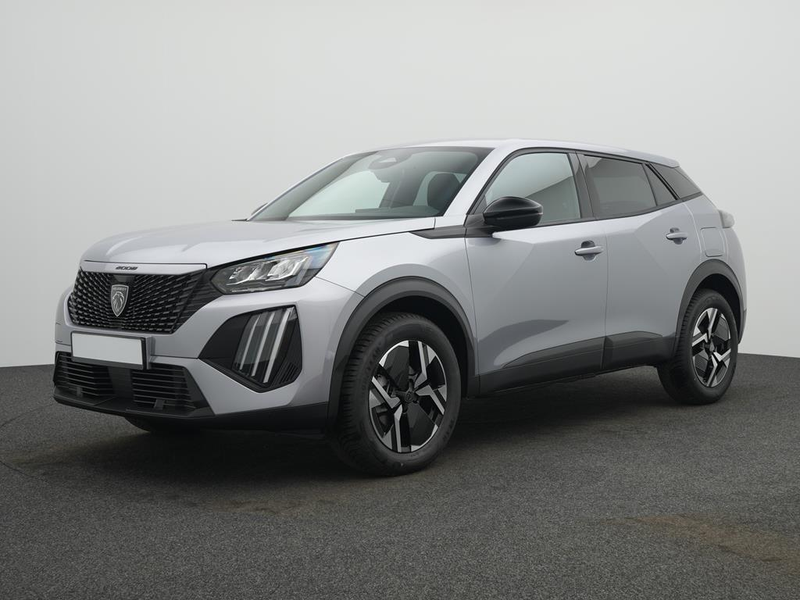 Peugeot 2008 BUSINESS Benzin 100 — photo 3