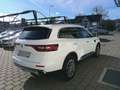 Renault Koleos dCi 190 4WD Intens X-Tronic Aut. Weiß - thumbnail 6