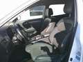 Renault Koleos dCi 190 4WD Intens X-Tronic Aut. Weiß - thumbnail 11