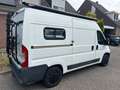 Peugeot Boxer Camper Wit - thumbnail 4