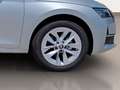 Skoda Octavia 1.5 TSI MHEV Selection DSG7 110kW Plateado - thumbnail 19
