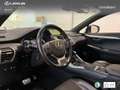 Lexus NX 300 300h F Sport Panorámico 4WD Wit - thumbnail 20
