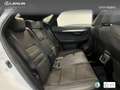Lexus NX 300 300h F Sport Panorámico 4WD Wit - thumbnail 7