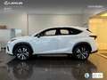 Lexus NX 300 300h F Sport Panorámico 4WD Wit - thumbnail 13
