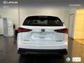 Lexus NX 300 300h F Sport Panorámico 4WD Wit - thumbnail 5