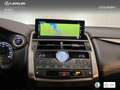 Lexus NX 300 300h F Sport Panorámico 4WD Wit - thumbnail 19