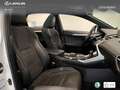 Lexus NX 300 300h F Sport Panorámico 4WD Wit - thumbnail 25