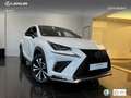 Lexus NX 300 300h F Sport Panorámico 4WD Wit - thumbnail 12