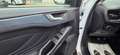 Ford Focus Active/*KAMERA/TEMP/LED/FREISPRECH/NAV/PDC/* Blanco - thumbnail 15