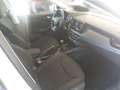 Skoda Kamiq 1.0 TSI *LED *SHZ *VORB AHK *PDC *TEMPO * Bianco - thumbnail 8