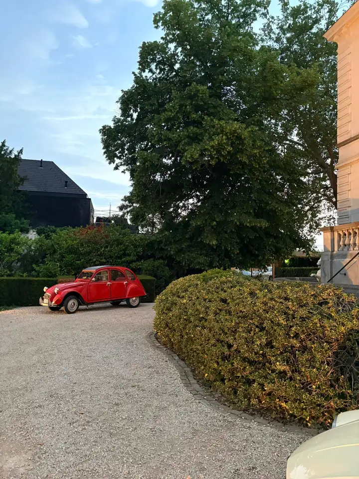 Citroen 2CV Special, foto 2