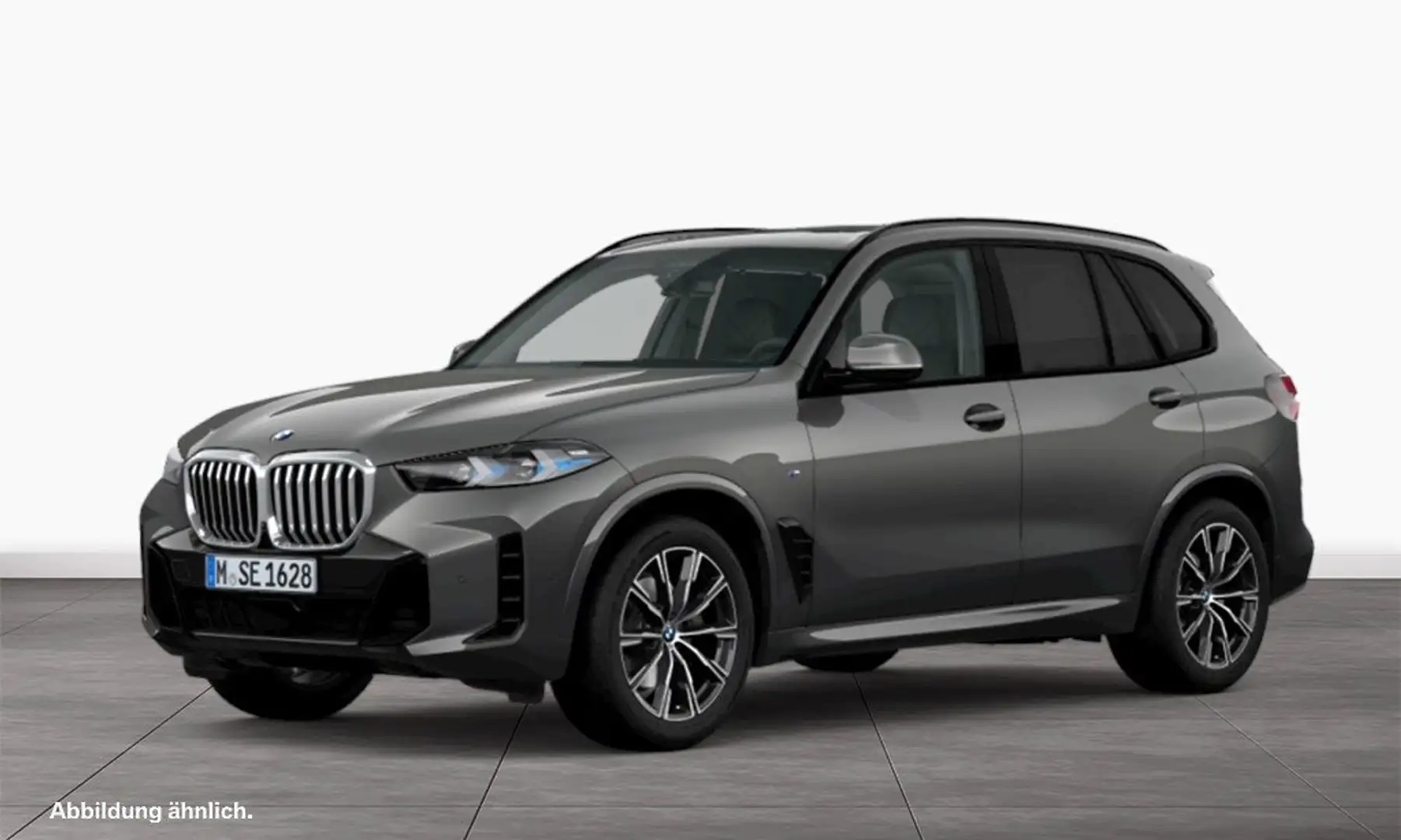 BMW X5 xDrive30d M Sport AHK Pano. HarmKar. DrivAssProf 3 Grau - 1