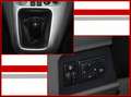 Nissan NV200 / Evalia Tekna 1.6 / 7 Sitze / R.Cam / Nav Weiß - thumbnail 14