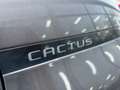 Citroen C4 Cactus 110pk Shine Camera|Navigatie|Trekhaak Gris - thumbnail 19