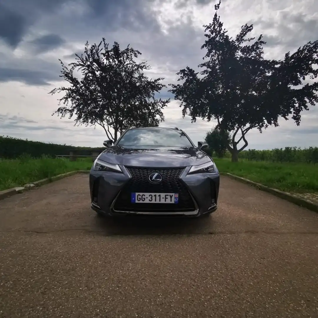 Lexus UX 250h 250H 2WD H F-Sport Pack cuir Grijs - 2