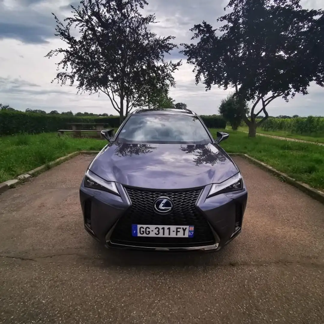 Lexus UX 250h 250H 2WD H F-Sport Pack cuir Grijs - 1