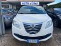 Lancia Ypsilon 1.3 Mjt 95CV 5posti Silver -PDC Posteriori Bianco - thumbnail 4