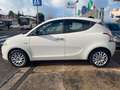 Lancia Ypsilon 1.3 Mjt 95CV 5posti Silver -PDC Posteriori Bianco - thumbnail 3