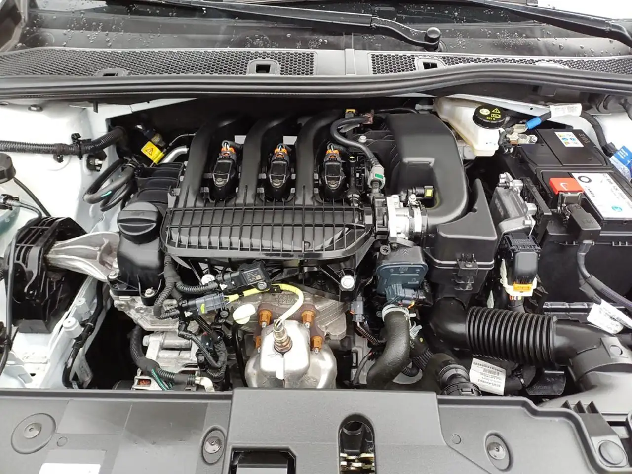 Opel Corsa 5T Edition 1,2 (55kW) 5G SS 5