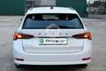 Skoda Octavia Octavia 2.0 TDI EVO SCR DSG Wagon Executive Blanco - thumbnail 6