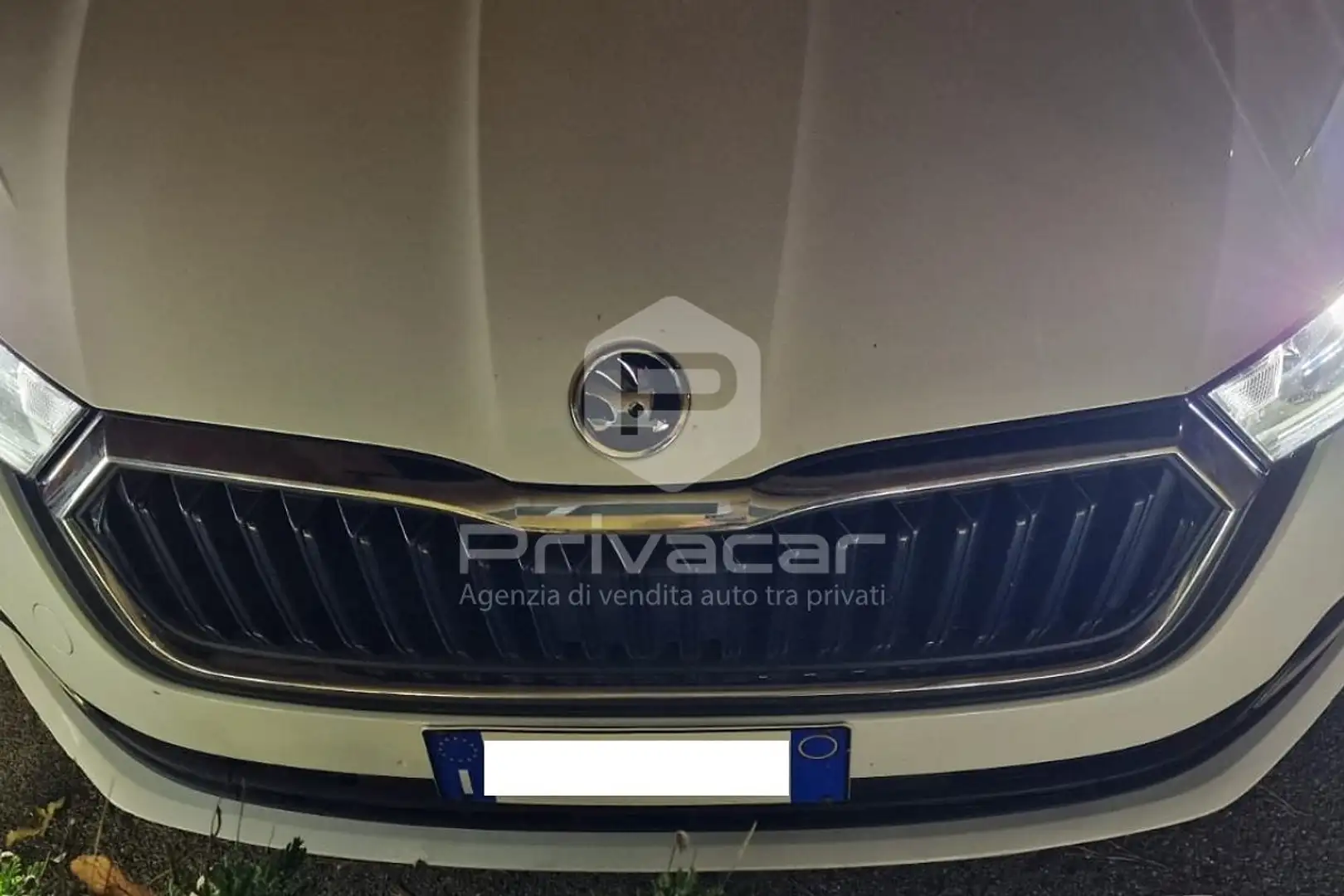 Skoda Octavia Octavia 2.0 TDI EVO SCR DSG Wagon Executive Bianco - 2