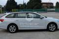 Skoda Octavia Octavia 2.0 TDI EVO SCR DSG Wagon Executive Blanco - thumbnail 4