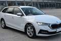 Skoda Octavia Octavia 2.0 TDI EVO SCR DSG Wagon Executive Blanco - thumbnail 3