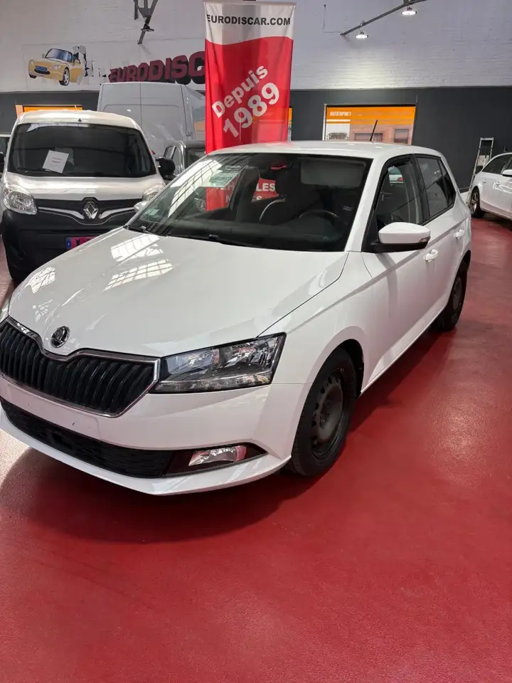 Skoda Fabia 1.0 TSI 95 ch BVM5 Business — photo 1 of 6