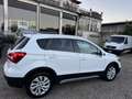 Suzuki S-Cross S-CROSS 1.6 DDIS COOL 4WD ALLGRIP Weiß - thumbnail 5